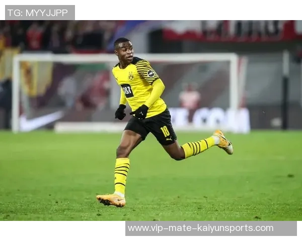 德甲选手的崛起与挑战：探讨德国足球的未来与发展潜力